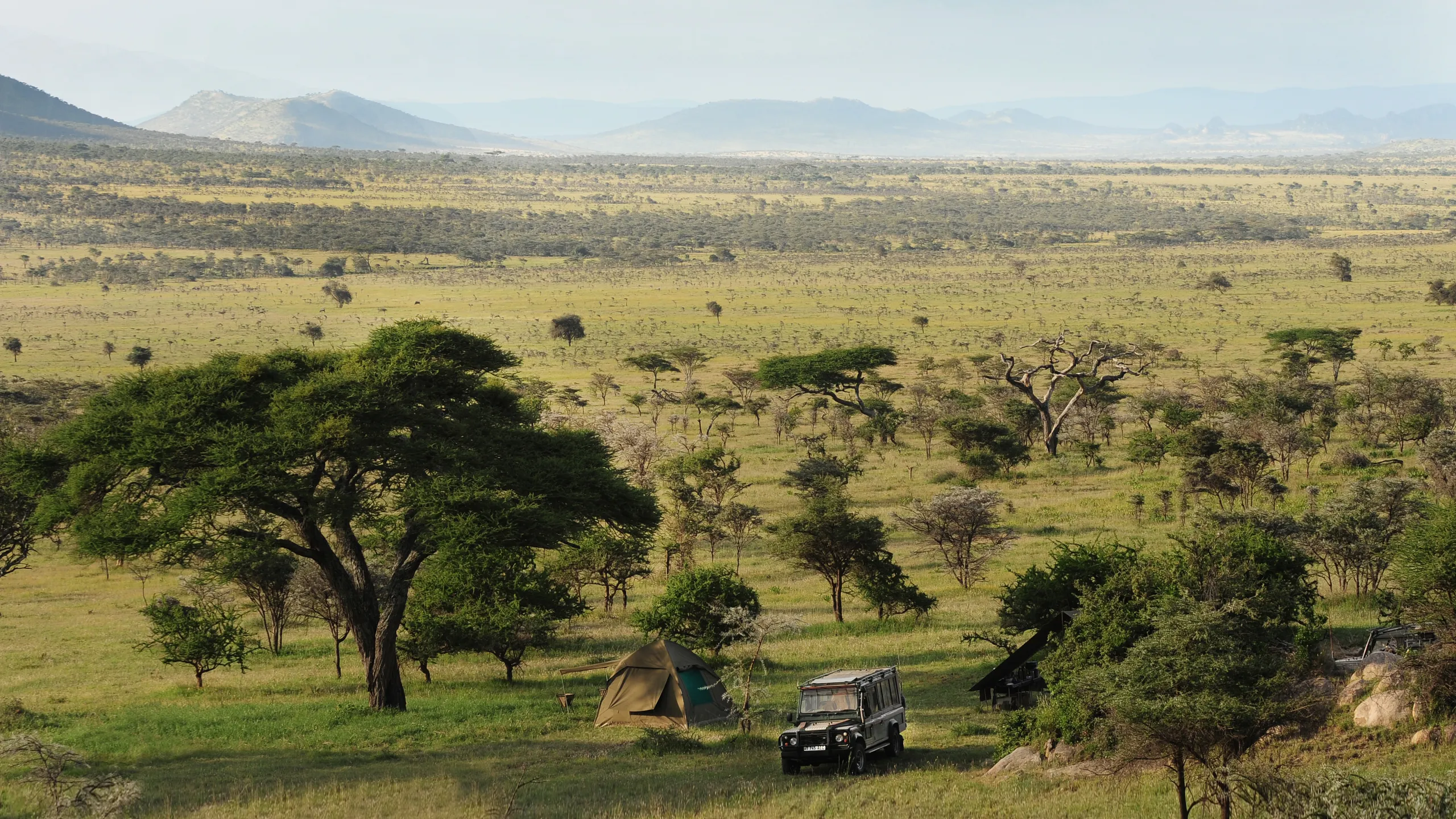 Serengeti Resort concept rendering